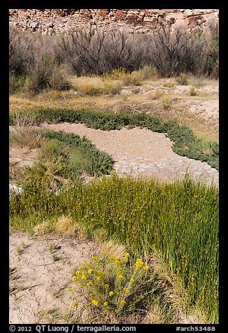 Creek near Wolfe Ranch. Arches National Park (color)