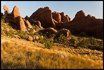 Fins in Devils Garden. Arches National Park ( color)