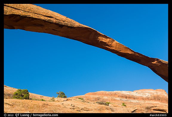 Span of Landscape Arch, longuest natural arch. Arches National Park (color)