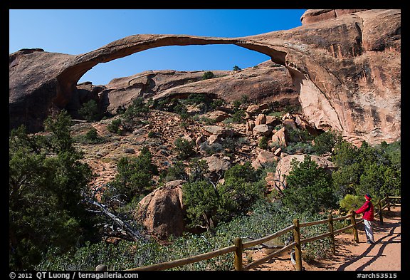 Visitor looking, Landscape Arch. Arches National Park, Utah, USA.