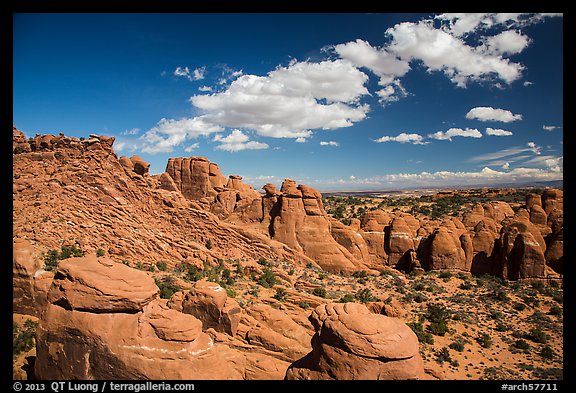 Entrada sandstone fins. Arches National Park (color)