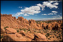 Entrada sandstone fins. Arches National Park ( color)