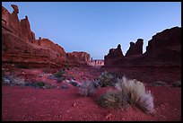 Park Avenue at dawn. Arches National Park ( color)