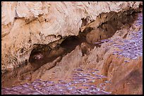 Reflections and sand in stream, Courthouse Wash. Arches National Park ( color)