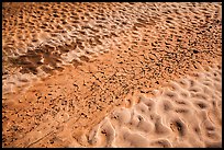 Sand and mud patterns, Courthouse Wash. Arches National Park ( color)