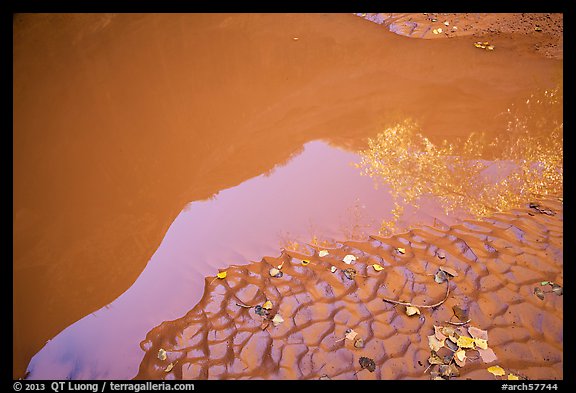 Mud and canyon reflection, Courthouse Wash. Arches National Park, Utah, USA.