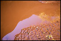 Mud and canyon reflection, Courthouse Wash. Arches National Park ( color)