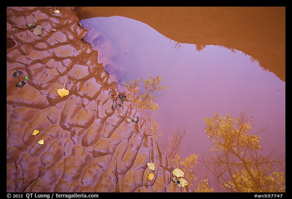 Mud and canyon reflected in pool Courthouse Wash. Arches National Park, Utah, USA.