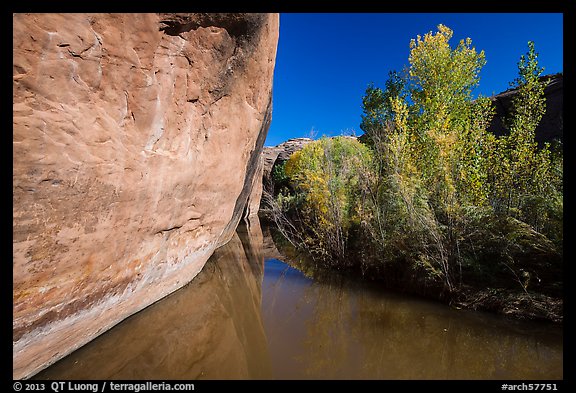 Cliff and vegetation reflected in stream, Courthouse Wash. Arches National Park, Utah, USA.