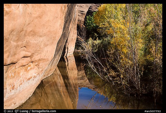 Cliffs and riparian vegetation reflected in stream, Courthouse Wash. Arches National Park, Utah, USA.