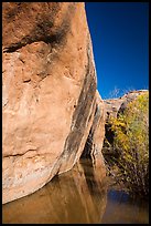 Sandstone cliffs reflected in stream, Courthouse Wash. Arches National Park ( color)