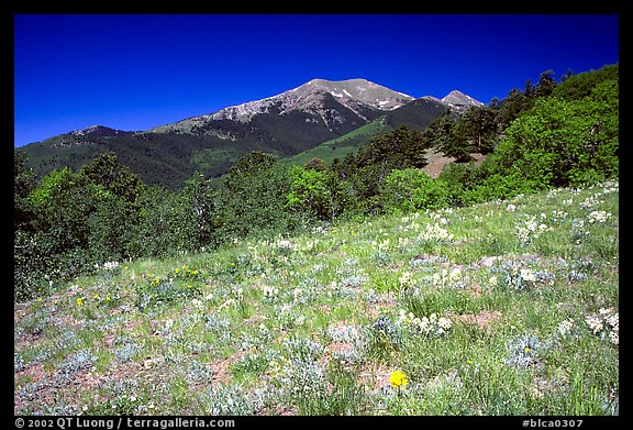 Meadow and distant peak, Mesa inclinado, North rim. Black Canyon of the Gunnison National Park, Colorado, USA.