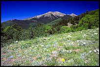 Meadow and distant peak, Mesa inclinado, North rim. Black Canyon of the Gunnison National Park ( color)