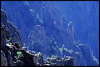 Blue hues from Island peaks view, North rim. Black Canyon of the Gunnison National Park, Colorado, USA.