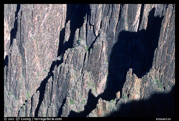 Detail of canyon wall from Kneeling camel view, North rim. Black Canyon of the Gunnison National Park, Colorado, USA.