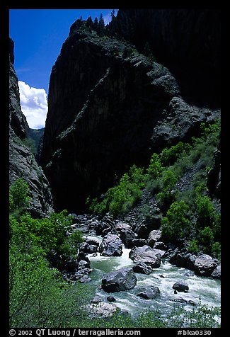 Gunisson river near the Narrows. Black Canyon of the Gunnison National Park, Colorado, USA.