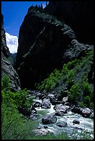 Gunisson river near the Narrows. Black Canyon of the Gunnison National Park, Colorado, USA. (color)