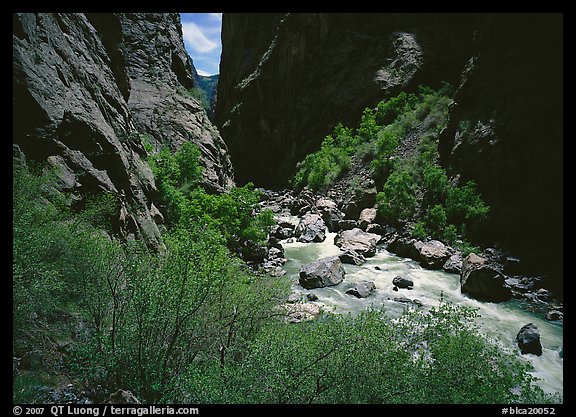 Gunisson River in narrow gorge in spring. Black Canyon of the Gunnison National Park, Colorado, USA.