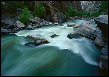 Gunisson river rapids near Narrows. Black Canyon of the Gunnison National Park, Colorado, USA.