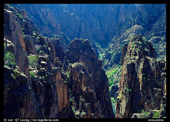 Spires and canyon walls. Black Canyon of the Gunnison National Park, Colorado, USA.