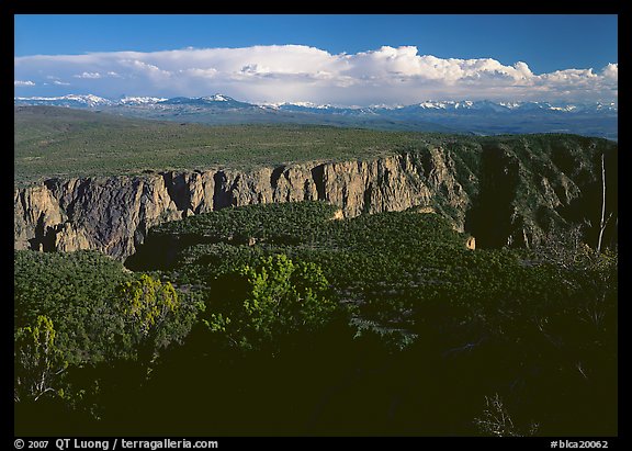 canyon from  North vista trail. Black Canyon of the Gunnison National Park, Colorado, USA.