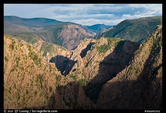 Canyon view from Tomichi Point. Black Canyon of the Gunnison National Park, Colorado, USA.