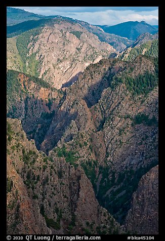 Tomichi Point view, late afternoon. Black Canyon of the Gunnison National Park, Colorado, USA.