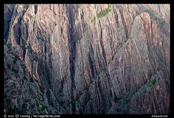 Striated rock walls. Black Canyon of the Gunnison National Park, Colorado, USA.