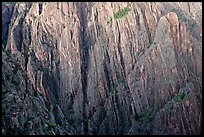 Striated rock walls. Black Canyon of the Gunnison National Park, Colorado, USA.