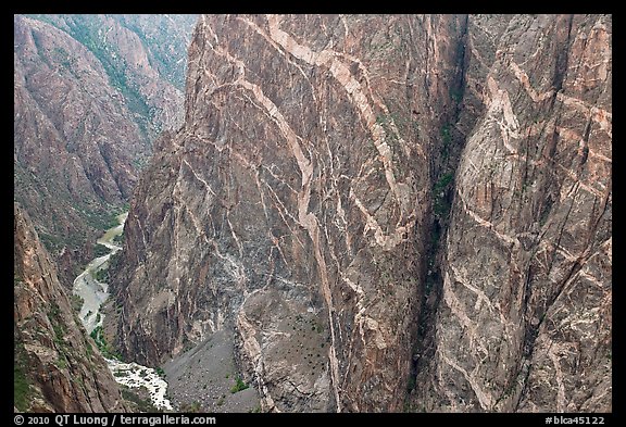 Stripes of pink and white crystalline pegmatite on rock wall. Black Canyon of the Gunnison National Park, Colorado, USA.