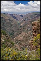 Sunset View. Black Canyon of the Gunnison National Park, Colorado, USA.