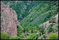 East Portal in spring. Black Canyon of the Gunnison National Park, Colorado, USA. (color)