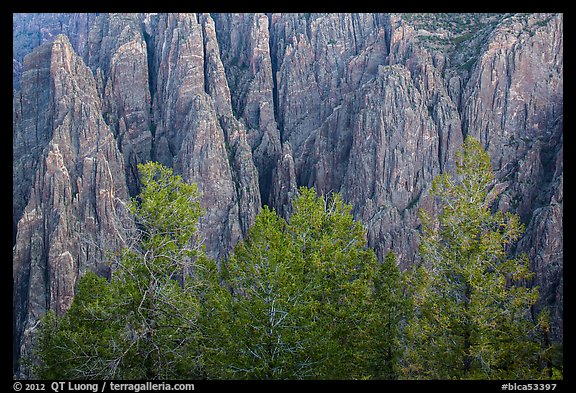 Pegmatite dikes. Black Canyon of the Gunnison National Park, Colorado, USA.