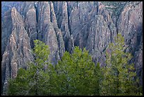 Pegmatite dikes. Black Canyon of the Gunnison National Park, Colorado, USA. (color)