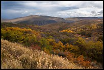 Rolling hills and storm in autumn. Black Canyon of the Gunnison National Park, Colorado, USA.