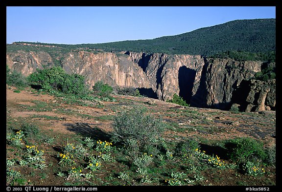 Plateau and gorge. Black Canyon of the Gunnison National Park, Colorado, USA.