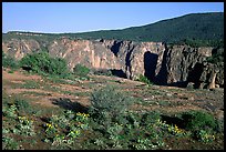 Plateau and gorge. Black Canyon of the Gunnison National Park, Colorado, USA. (color)