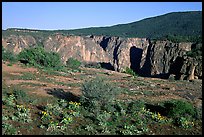 Plateau and gorge. Black Canyon of the Gunnison National Park, Colorado, USA.