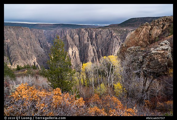Canyon view with gambel oak and aspen in fall foliage. Black Canyon of the Gunnison National Park (color)