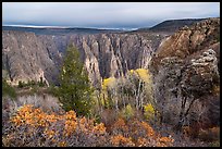 Canyon view with gambel oak and aspen in fall foliage. Black Canyon of the Gunnison National Park ( color)
