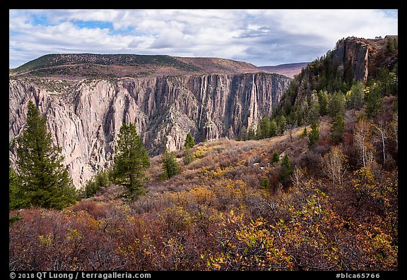 Fall foliage along Oak Flat Trail. Black Canyon of the Gunnison National Park (color)