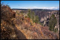 Oak Flat Trail. Black Canyon of the Gunnison National Park ( color)