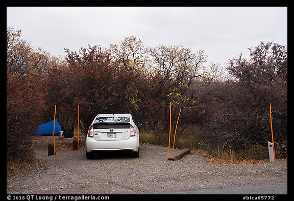 South Rim Campground. Black Canyon of the Gunnison National Park (color)