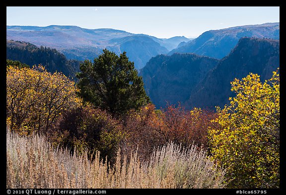 Tomichi Point in the autumn. Black Canyon of the Gunnison National Park (color)
