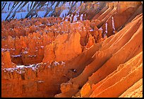 Eroded slopes and Hoodoos from Sunrise Point. Bryce Canyon National Park ( color)