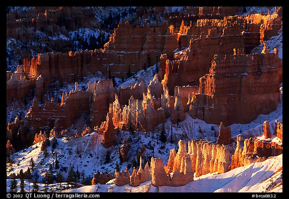 Shadows and lights, Bryce Amphitheater from Sunrise Point, morning. Bryce Canyon National Park, Utah, USA.