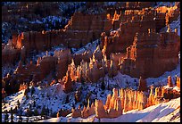 Shadows and lights, Bryce Amphitheater from Sunrise Point, morning. Bryce Canyon National Park ( color)