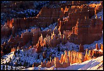 Shadows and lights, Bryce Amphitheater from Sunrise Point, morning. Bryce Canyon National Park, Utah, USA.