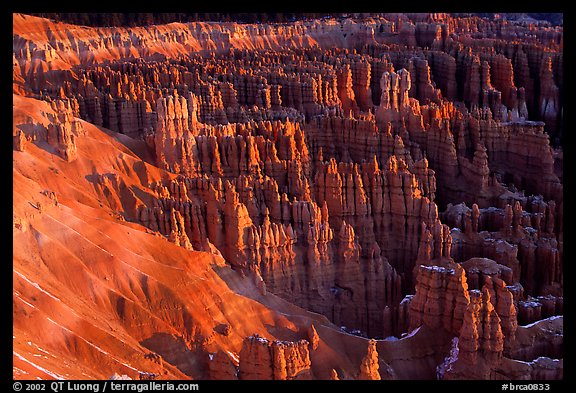 Silent City dense cluster of hoodoos from Bryce Point, sunrise. Bryce Canyon National Park, Utah, USA.