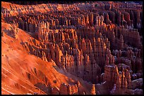 Silent City dense cluster of hoodoos from Bryce Point, sunrise. Bryce Canyon National Park ( color)